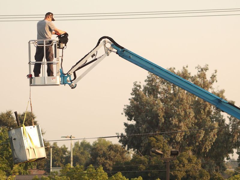 Tree removal project in Omaha, NE