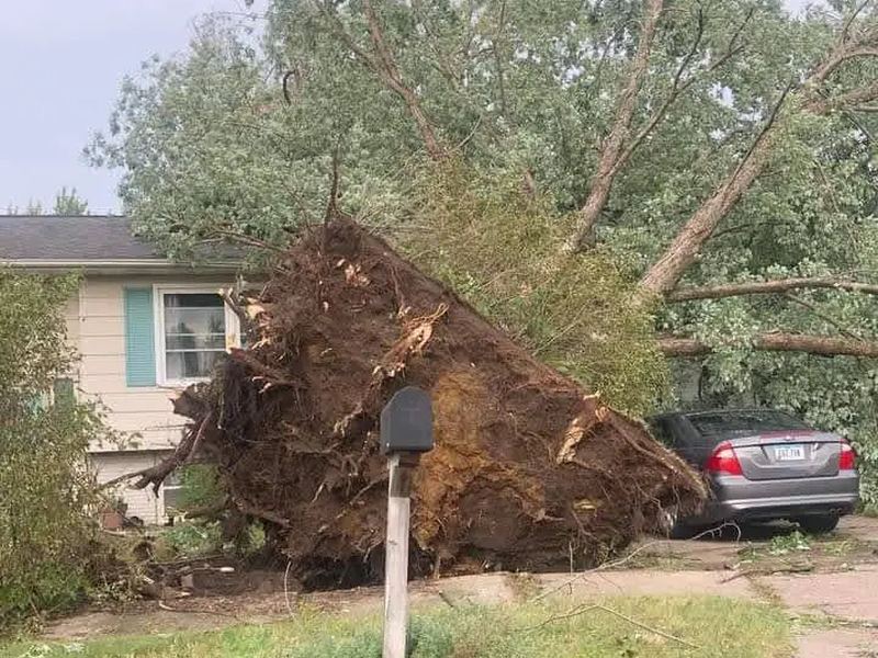 Tree removal job in the Aksarben neighborhood of Omaha