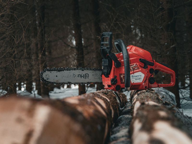 Tree removal job in the Dundee neighborhood of Omaha