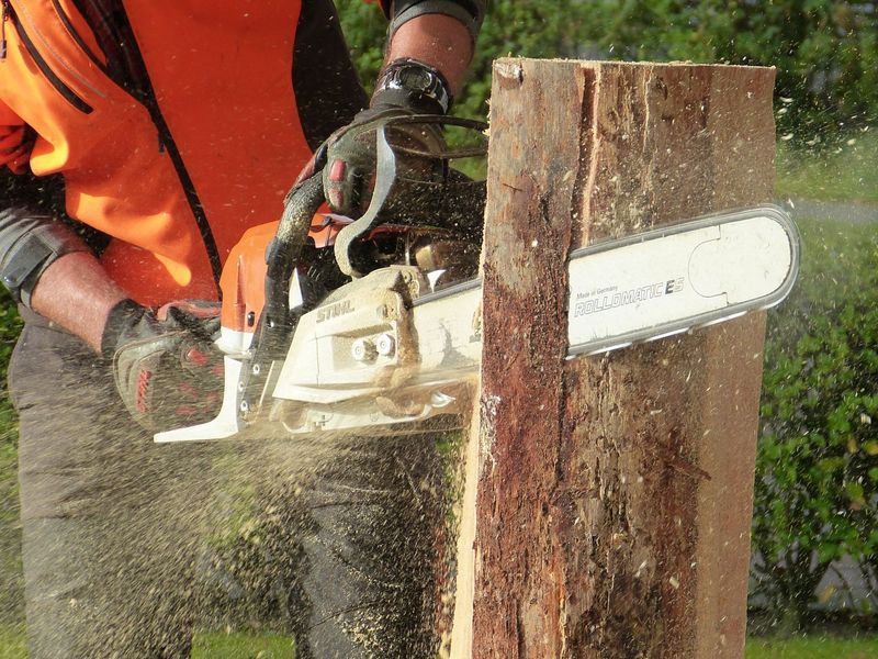 Tree removal job near La Vista, NE
