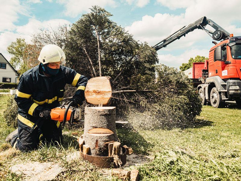 Tree removal job in the Regency neighborhood of Omaha