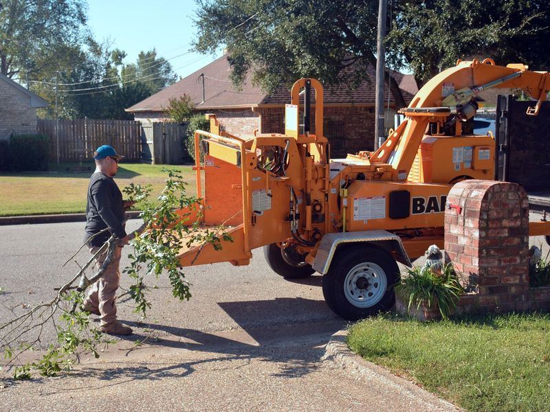 Tree removal job near Springfield, NE